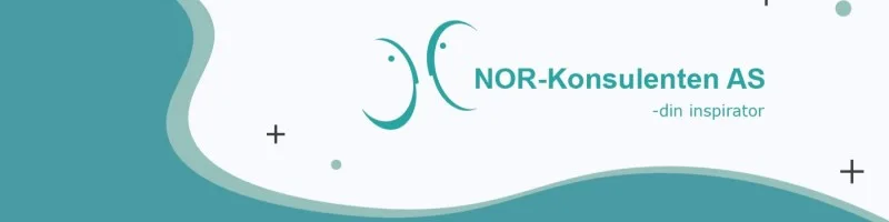 Nor Konsulenten As